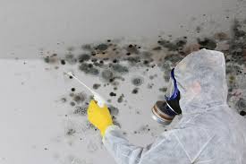 Forensic Mold Investigation in Defuniak Springs, FL